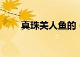 真珠美人鱼的（真珠美人鱼第一部）