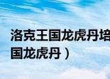 洛克王国龙虎丹培元丹九转丹哪个好（洛克王国龙虎丹）
