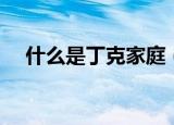 什么是丁克家庭（丁克家庭是什么意思）