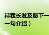 待我长发及腰下一句是什么（待我长发及腰下一句介绍）