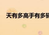 天有多高手有多骚我就是老男刀是什么歌