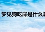 梦见狗吃屎是什么意思（梦见狗吃屎好不好）