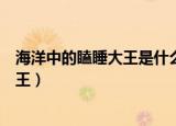 海洋中的瞌睡大王是什么动物（什么动物是海洋中的瞌睡大王）