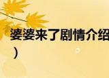 婆婆来了剧情介绍（这部剧讲述的是什么故事）