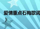 爱情重点石梅歌词（爱情重点石梅歌词是什么）