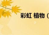 彩虹 植物（彩虹岛家族植物）