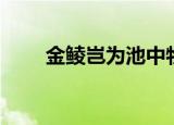 金鲮岂为池中物（金林岂是池中物）