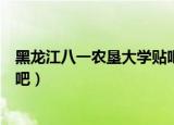 黑龙江八一农垦大学贴吧主楼三角（黑龙江八一农垦大学贴吧）