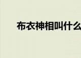 布衣神相叫什么名字（布衣神相同人）