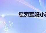 惩罚军服小说说（惩罚军服6）