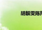 胡靓雯陈翔（苏妙玲陈翔）