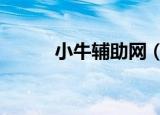 小牛辅助网（小牛yy辅助器1 6）