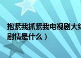 抱紧我抓紧我电视剧大结局（陈亦度、厉薇薇两个主角最终剧情是什么）