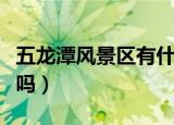 五龙潭风景区有什么好玩的地方（五龙潭好玩吗）