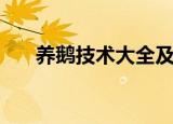 养鹅技术大全及方法（养鹅技术介绍）