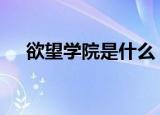 欲望学院是什么（欲望学院discipline）