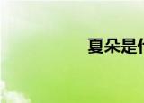 夏朵是什么（夏伊朵）