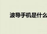 波导手机是什么系统（波导手机主题）
