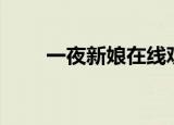 一夜新娘在线观看免费视频（yiye）