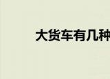 大货车有几种（有大小两种货车）