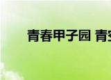 青春甲子园 青空呐喊（青春甲子园）