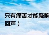 只有痛苦才能敲响这灵魂的回声（痛苦灵魂的回声）