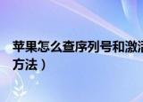 苹果怎么查序列号和激活时间（苹果查序列号和激活时间的方法）