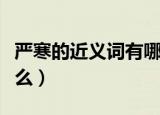 严寒的近义词有哪些词语（严寒的近义词是什么）