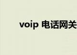 voip 电话网关 开发板（voip 电话）