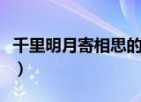 千里明月寄相思的全诗（千里明月寄相思讲解）