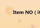 Item NO（itemno是什么意思）