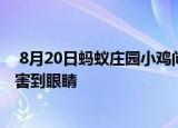  8月20日蚂蚁庄园小鸡问题：异物入眼时怎么处理可能会伤害到眼睛