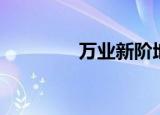 万业新阶地址（万业新阶）