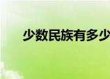 少数民族有多少个（少数民族的介绍）