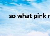 so what pink mp3（so what pink）