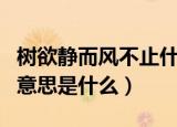 树欲静而风不止什么意思（树欲静而风不止的意思是什么）