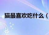 猫最喜欢吃什么（猫喜欢吃的食物有哪些）