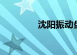 沈阳振动盘（上海振动盘）