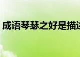 成语琴瑟之好是描述什么（琴瑟之好的意思）