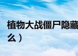 植物大战僵尸隐藏关卡一共多少个（分别叫什么）