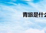 青旅是什么（什么是青旅）