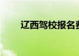 辽西驾校报名费多少钱（辽西驾校）