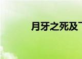 月牙之死及飞天（死神之月牙）
