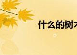 什么的树木（怎样的树木）