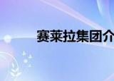 赛莱拉集团介绍（赛莱拉怎么样）