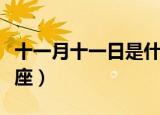 十一月十一日是什么星座（十一月十一日的星座）