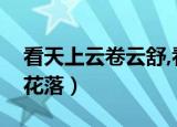 看天上云卷云舒,看庭前花开花落（庭前花开花落）