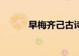 早梅齐己古诗赏析（早梅 齐己）