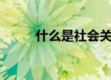 什么是社会关系（社会关系讲解）