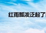 红雨瓢泼泛起了回忆怎么潜什么歌简谱